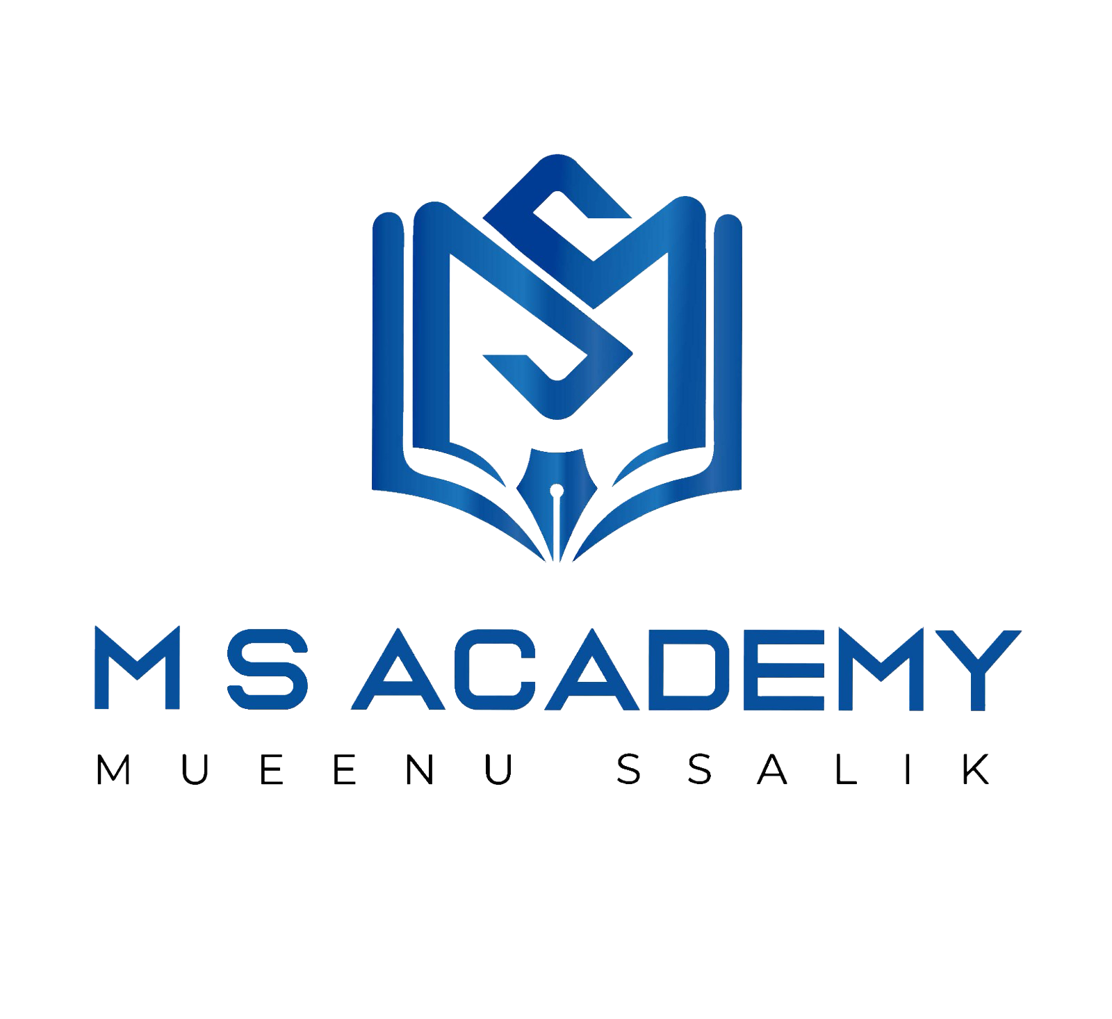 M S Academy logo